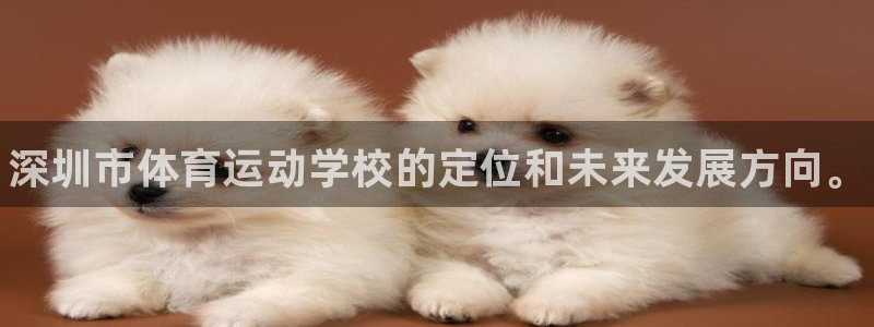 欧亿体育官方正版app集团官网网址:深圳市体育运动学校的定位