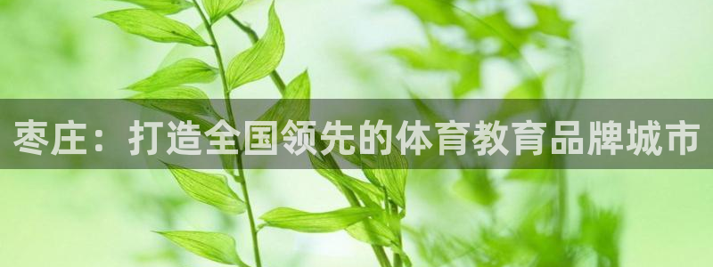 欧亿体育官方正版app集团官网首页:枣庄:打造全国领先的体育